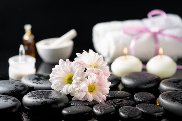 spa background of white daisy flowers, candles, fragrance oil, cosmetic cream, towels and zen basalt stones with water drops on black