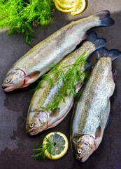 Raw trout with herbs on a board