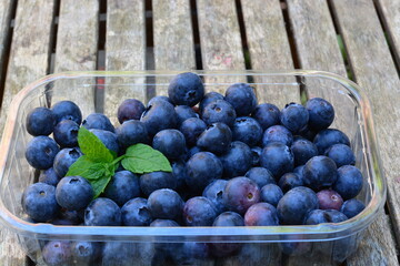 Blueberries in a plastic box on a wooden table