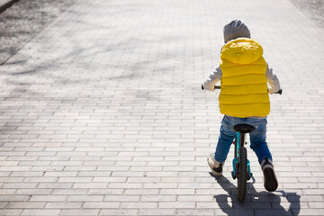 Back view on cute toddler boy riding his bike. Child on bicycle in the park.