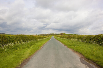 country road and hedgerows