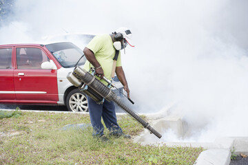 fogging to control dengue