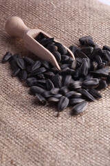Fototapeta na wymiar sunflower seeds