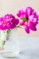 Summer floral concept with peonies