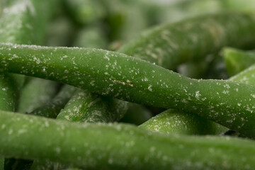Frozen cut green beans vegetable