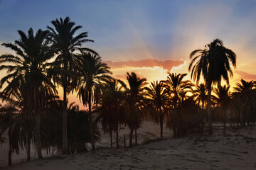 Fototapeta na wymiar Sunset in the Sahara Desert.