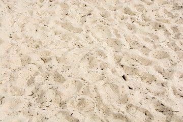 Sand texture