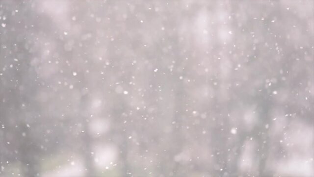 Snow flakes falling in slow motion