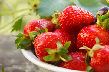 Raw Organic Red Ripe Strawberries Ready to Eat. Healthy food full of vitamins.