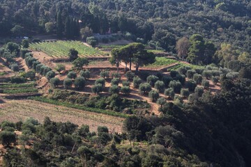 Fototapeta na wymiar Argentario 