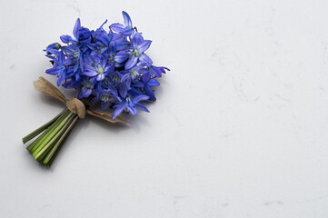 Spring blue wild flowers Scilla bouquet on Noble Carrara quartz counter