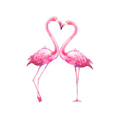 Naklejka premium Akwarela flaming w miłości. Ręcznie malowane jasne egzotyczne ptaki całujące na białym tle. Ilustracja zwierząt