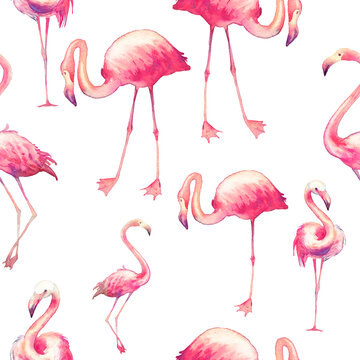 Watercolor flamingo seamless pattern. Hand painted texture with bright exotic birds on white background. Fashion wallpaper design with wild animals