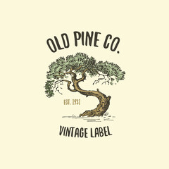 pine tree logo engraved or hand drawn, isolated old looking emblem for ecology, camping or food branding