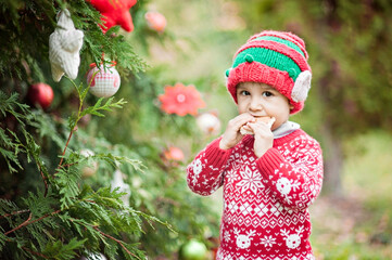 Little boy in sweater and hat waiting for a Christmas in the wood
