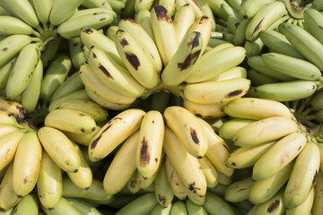 
Banana, delicious fruit
