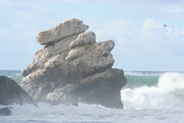 Pelican rock
