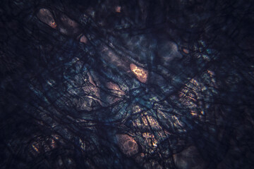 Dark microscopic organic section, texture, background.