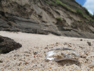 Discarded