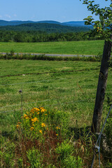 Fototapeta premium Fenced field