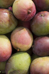 
Mango, delicious fruit