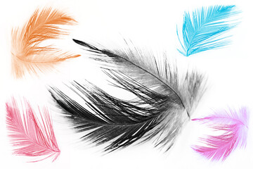 Collection color trends chicken feather texture background