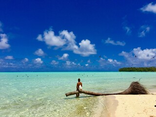 Beautiful young lady sitting on a palm tree in the turquoise lagoon of Marlon Brando's atoll Tetiaroa, Tahiti, French Polynesia