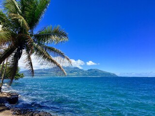 Fototapeta na wymiar Beautiful view on Tahiti Iti, French Polynesia
