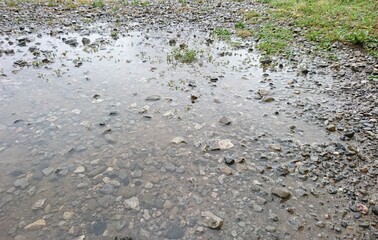雨の日の水溜り