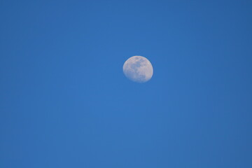 Moon