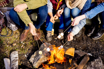Obraz premium Family is on a picnic