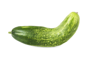 Hanging melon, melon