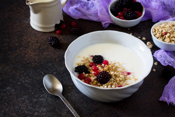 Granola. Homemade yoghurt with granola, currant and black raspberries. Copy space.