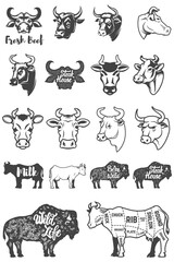 Big set of cow heads and silhouettes. Design elements for logo, label, emblem, sign. Vector illustration