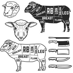Lamb cuts butcher diagram. Design element for poster, menu. Vector illustration