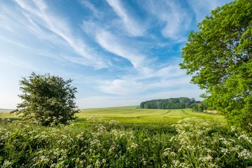Rolgordijnen English Countryside in Summer © roboroborob