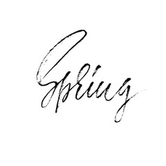 Handwritten lettering. Spring. Hand drawn calligraphy letters. Vector illustration. Typography poster.