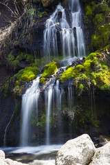 Fototapeta premium 滝