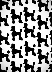 Awesome greeting card with cute cartoon dogs. Black silhouettes. Breed poodle