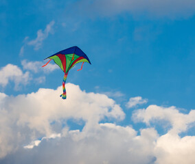 Kite in the blue sky.