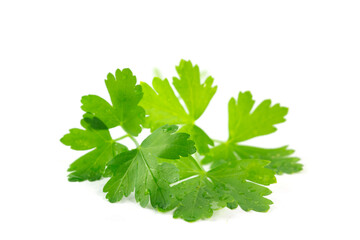 Foglie di prezzemolo
