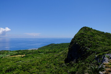 Fototapeta premium 亜熱帯の森と海