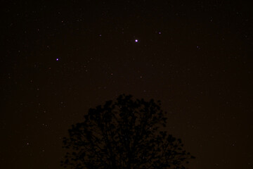 Tree and Stars