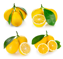 Obraz premium lemon isolated on white