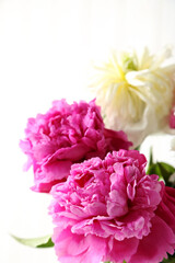 Bouquet of peony flowers isolated on a white
