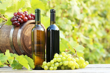 Fototapeta na wymiar Wine in bottle with bunch of grape on wooden table