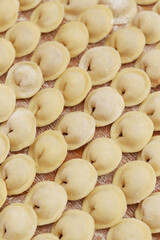 Homemade pelmeni background