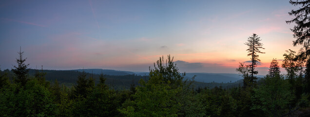 Fototapeta premium Schwarzwald bei Sonnenaufgang