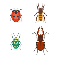 Colorful insects icons isolated wildlife wing detail summer bugs wild vector illustration