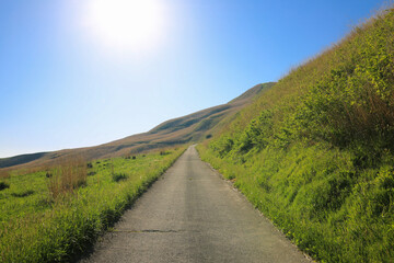 愛媛県四国中央市　塩塚高原の風景